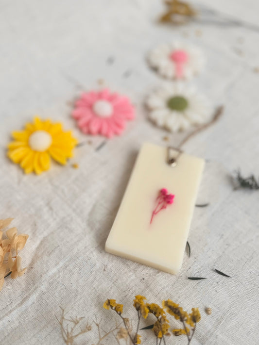 Aroma Enhancers (Bathroom and Wardrobe freshner)