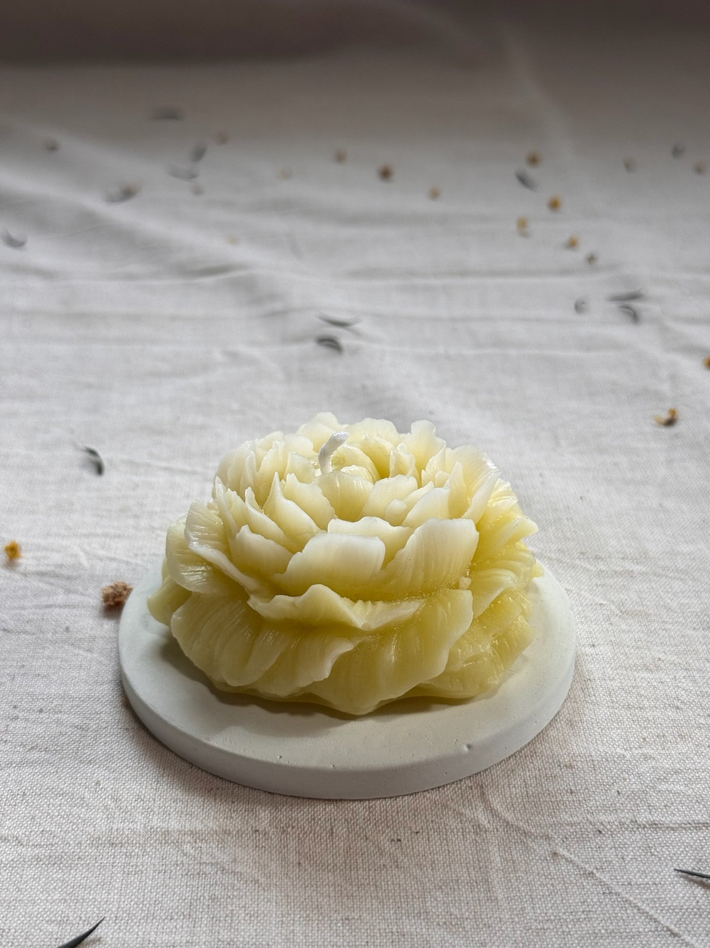Peony Candle (Unscented)