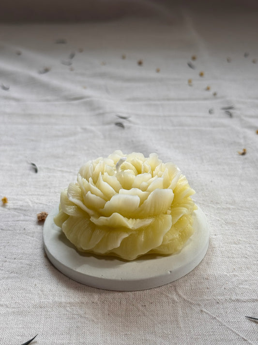 Peony Candle (Unscented)